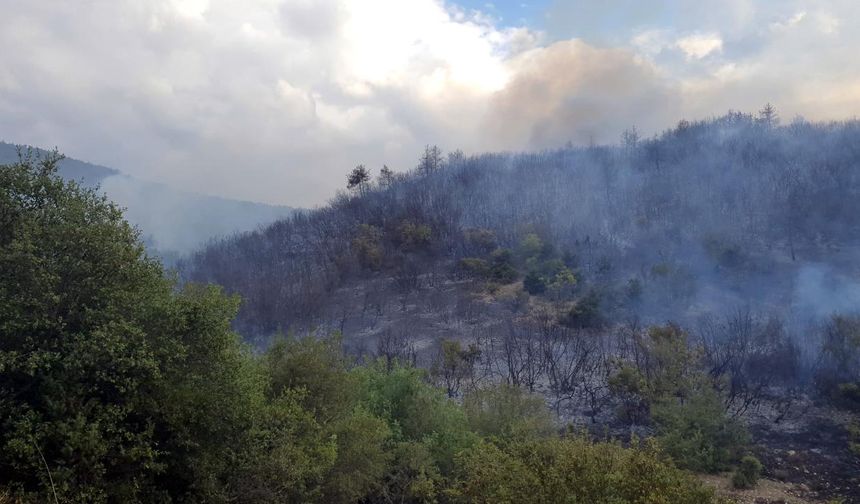 Tokat Erbaa'da orman yangını alarmı! Söndürme çalışmaları devam ediyor