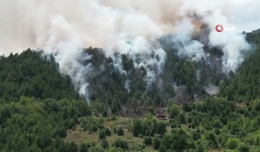 Zonguldak'ta orman yangını: Mahalle tahliye ediliyor!