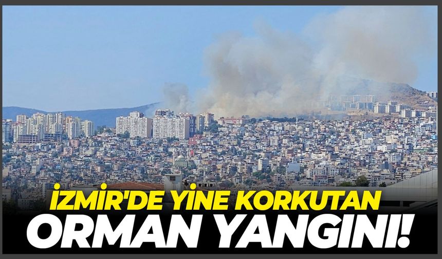 İzmir'de yine korkutan orman yangını!