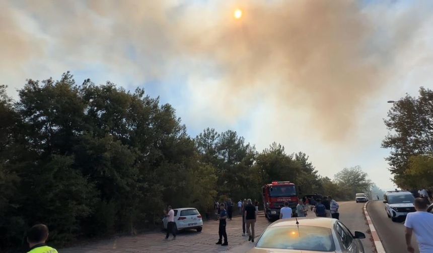 Üniversite kampüsünde orman yangını: Ekipler müdahale ediyor!