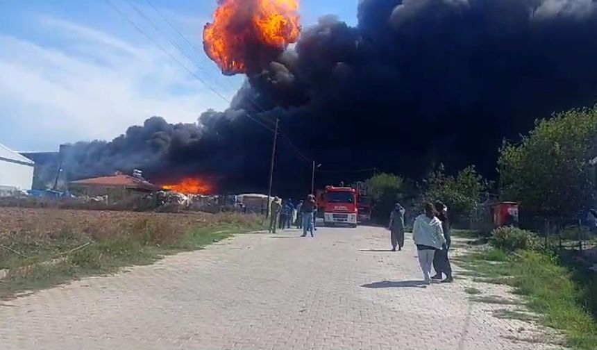 Tekirdağ'da fabrika yangını: Dumanlar gökyüzünü sardı!