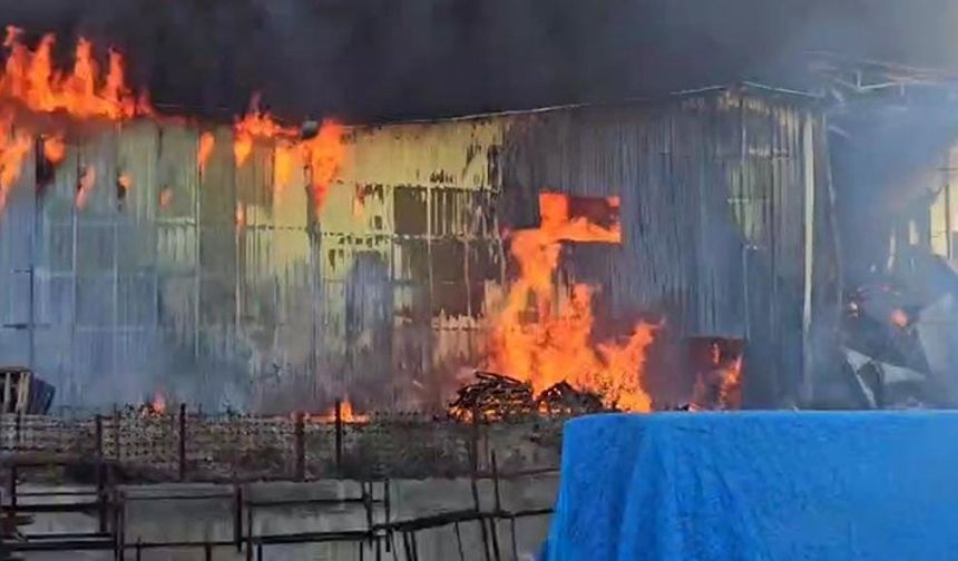 Balık yemi paketleme fabrikasında yangın: Yangına müdahale sürüyor!