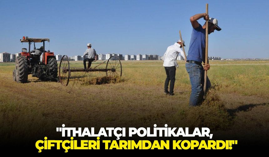 "İthalatçı politikalar, çiftçileri tarımdan kopardı!"