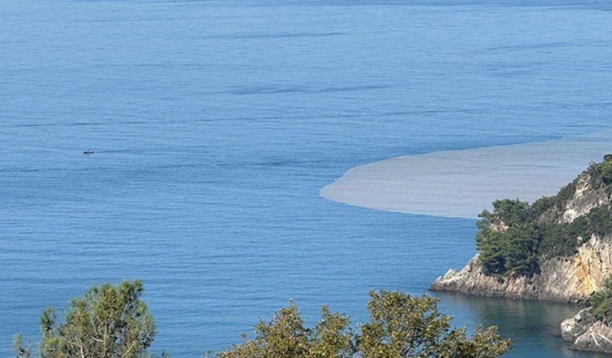 Görenleri şaşkına çevirdi! Bartın'da denizin rengi kahverengiye döndü