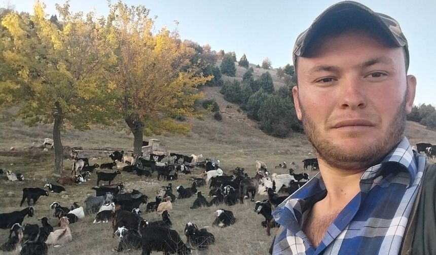 Gediz'de ayı koyunu parçaladı, çobanlar tedirgin