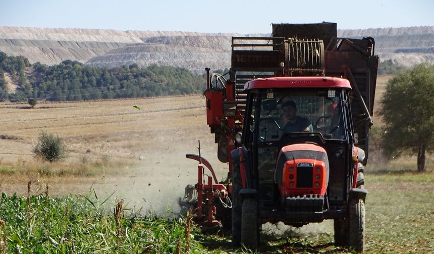 Şeker pancarı hasadı başladı: Hisarcık’ta verim artışı bekleniyor