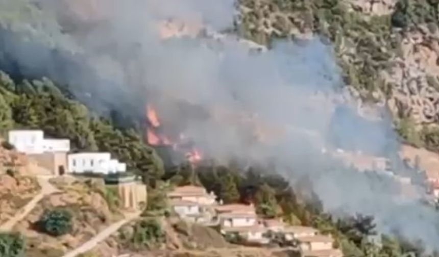 Alanya'da orman yangını: Ekipler havadan ve karadan müdahale ediyor!