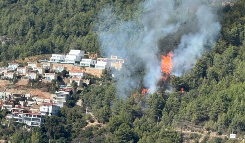 Alanya'daki orman yangını kontrol altına alındı!