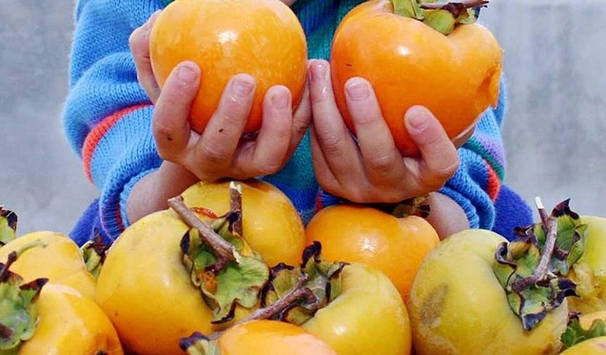 Cennet hurmasının faydaları: Neden günde 1 tane cennet hurması yemelisiniz?