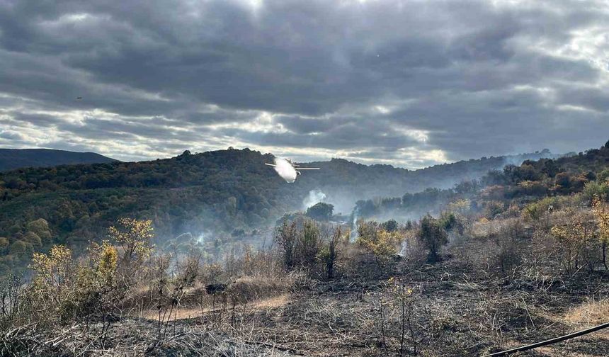 Çanakkale'de çıkan yangında 2 hektarlık alan zarar gördü