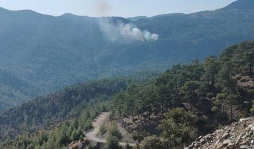 Muğla Köyceğiz'de orman yangını