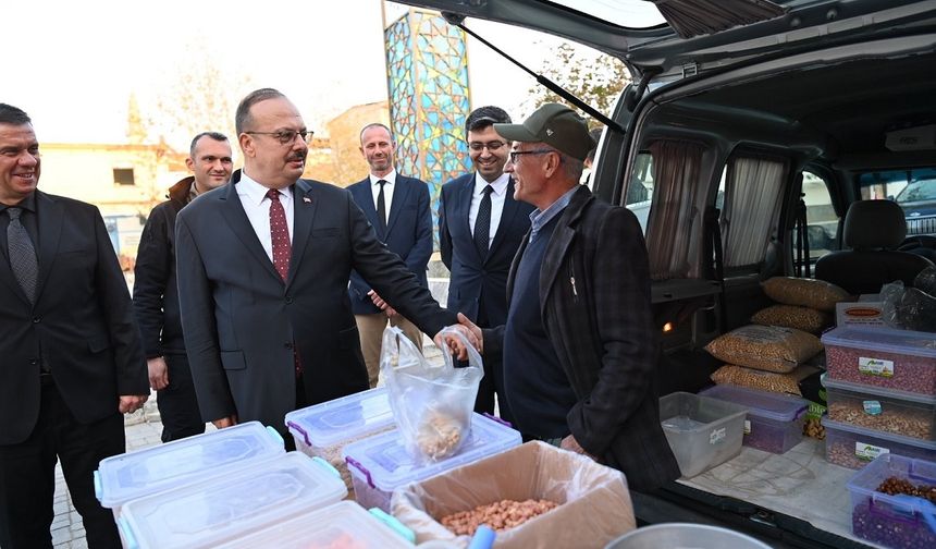 Aydın Valisi Canbolat, Yenipazar'da incelemelerde bulundu