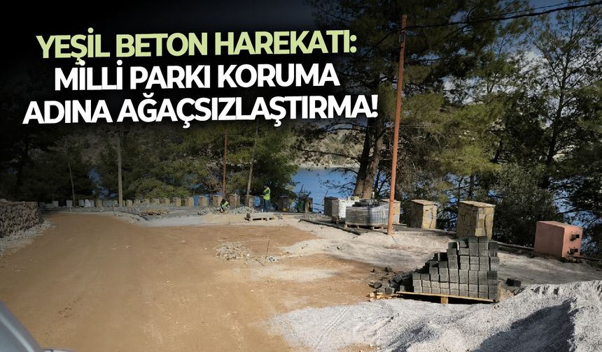 Yeşil beton harekatı: Milli Parkı koruma adına ağaçsızlaştırma!