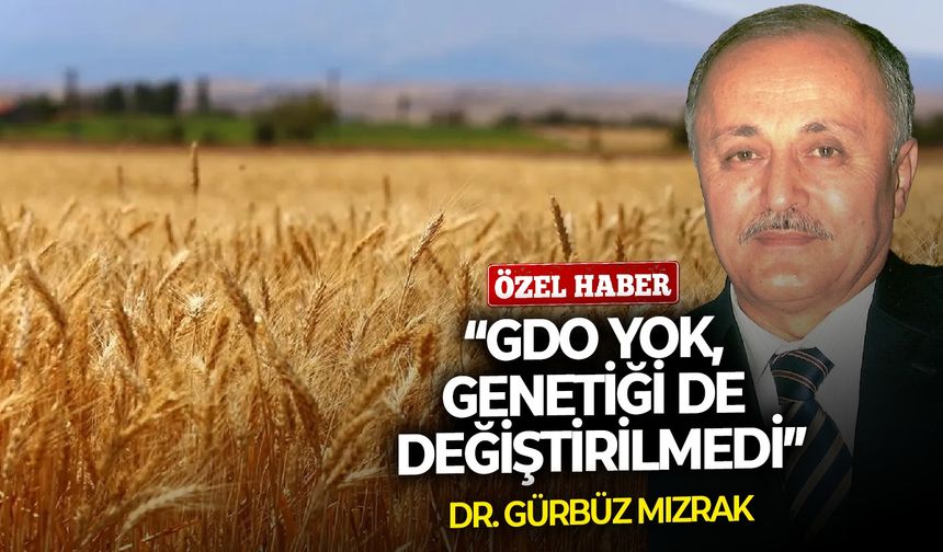 “GDO yok, genetiği de değiştirilmedi”