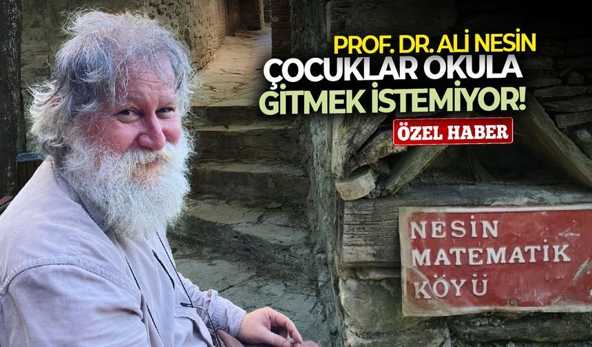 Prof. Dr. Ali Nesin: Çocuklar okula gitmek istemiyor!