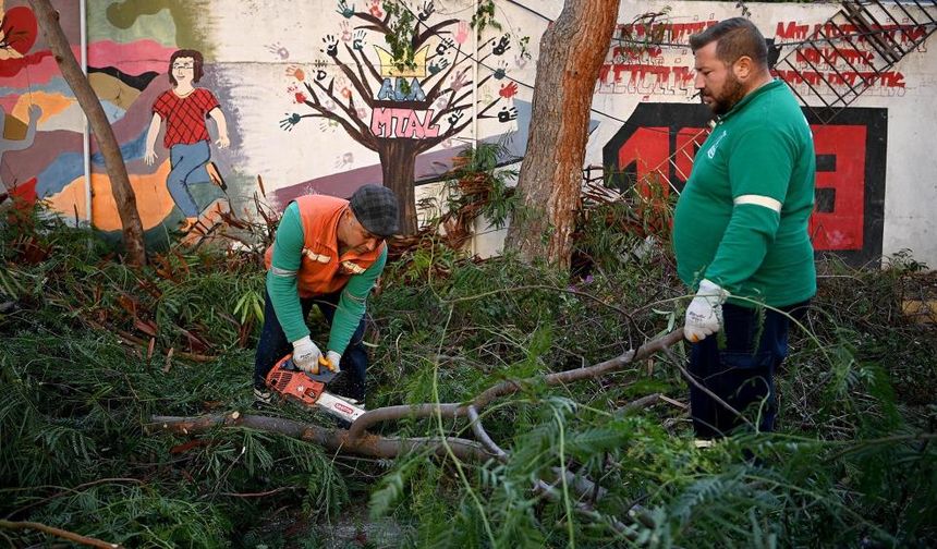 Kuşadası Belediyesi, ağaç atıklarıyla ihtiyaç sahiplerine yakacak yardımı yapıyor