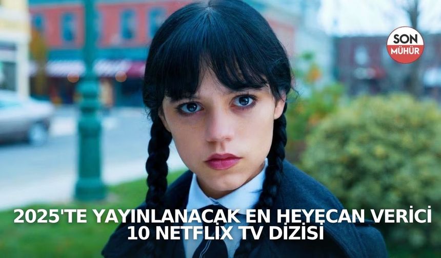 2025'te Yayınlanacak En Heyecan Verici 10 Netflix TV Dizisi