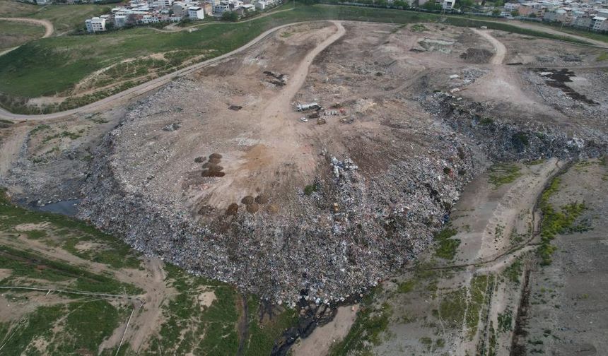 Bursa’da köpek katliamı iddiası: Çöplükteki olay şoke etti!