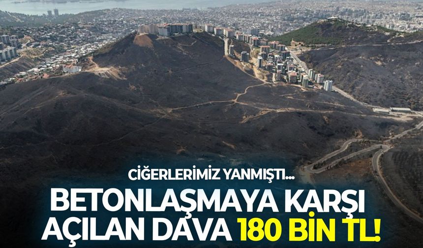 Ciğerlerimiz yanmıştı... Betonlaşmaya karşı açılan dava 180 bin TL!