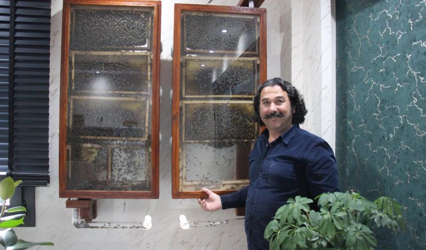 İsviçre'den, Aydın’a: Fabrika sahibi ofisinde arı besliyor!