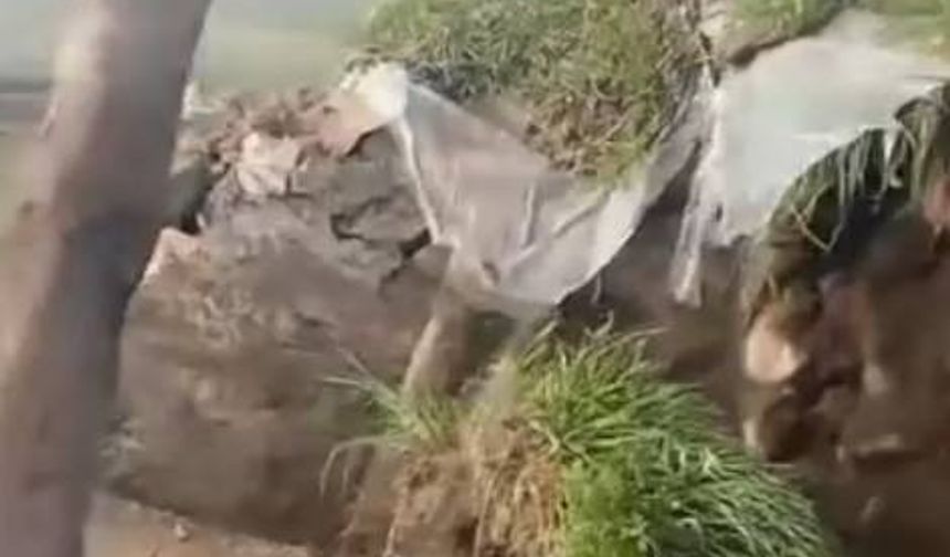 Ahır çöktü büyükbaş hayvanlar telef oldu