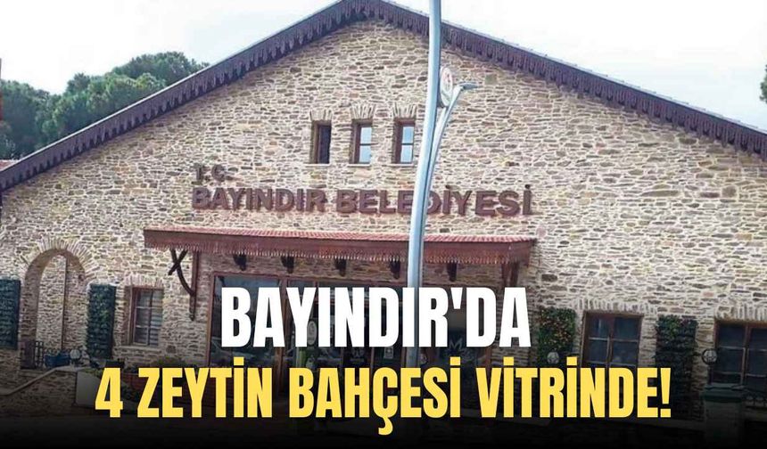Bayındır'da 4 zeytin bahçesi vitrinde!
