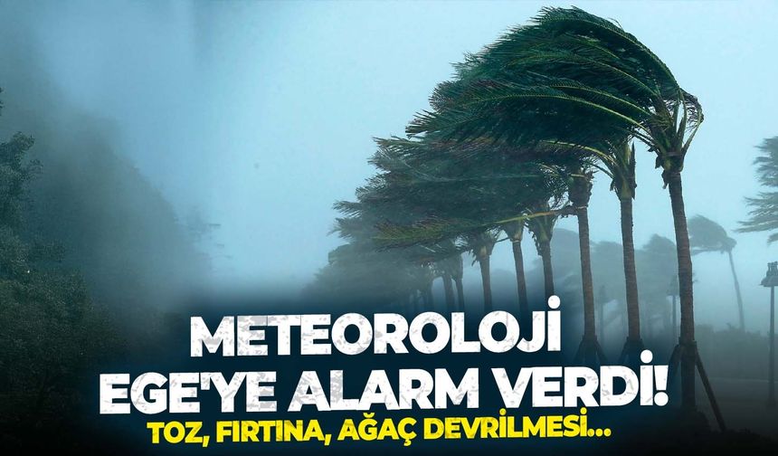 Toz, fırtına, ağaç devrilmesi… Meteoroloji Ege'ye alarm verdi!