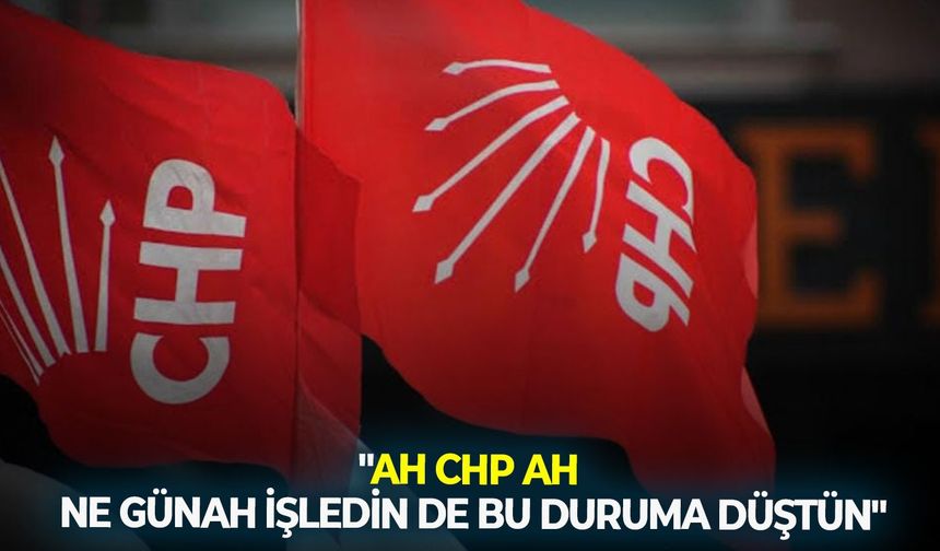 "Ah CHP ah, ne günah işledin de bu duruma düştün?"