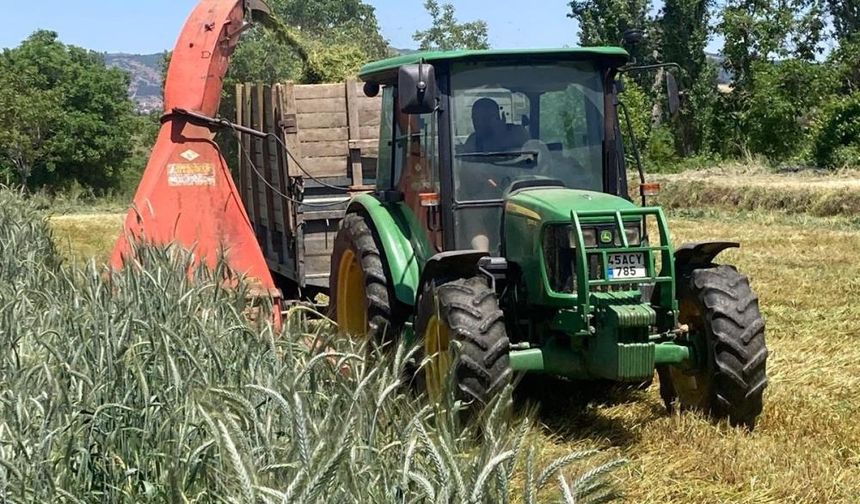 Slaj yemiyle süt rekoru: Manisalı çiftçinin doğal çözümü