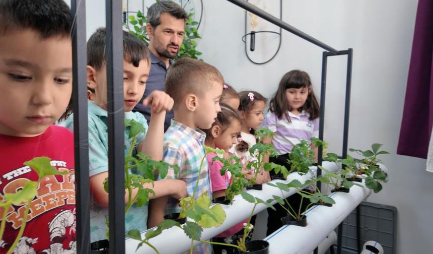 Küçük yaşta büyük sorumluluk: Öğrencilerden hidroponik üretim