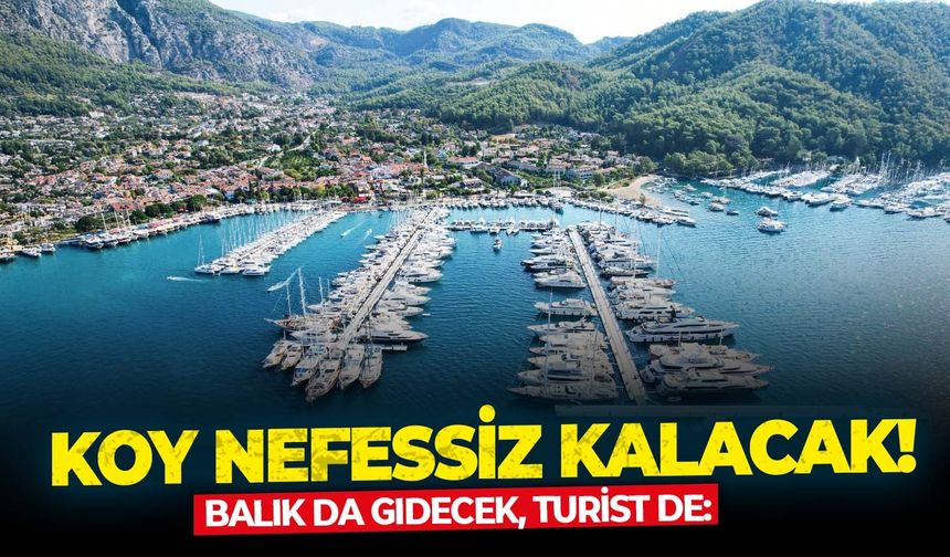 Balık da gidecek, turist de: Koy nefessiz kalacak!