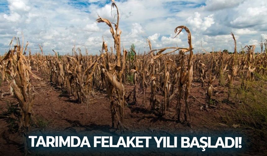Çiftçiler Günü’nde TZOB başkanında uyarı: Tarımda felaket yılı başladı!