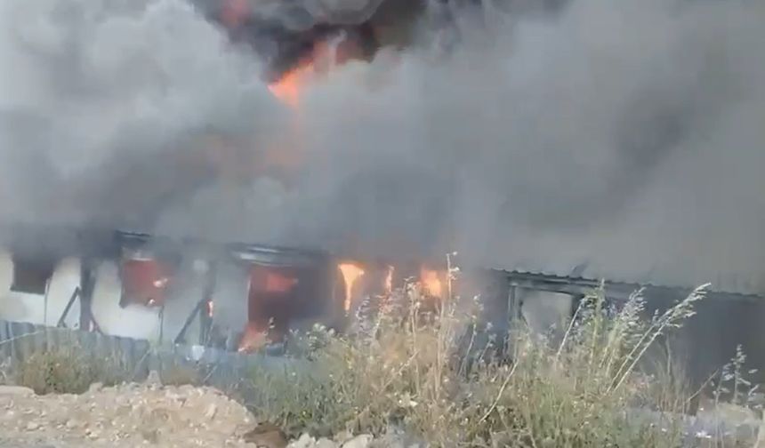 Muğla Bodrum'da işçi konteynerleri yandı! Hasar büyük!
