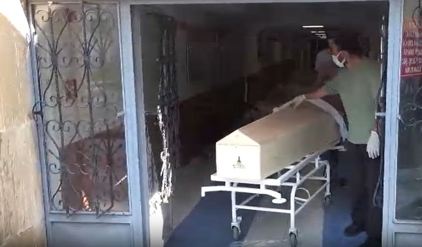 Sivas'ta kene kabusu! Bir bir can alıyor