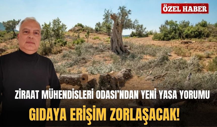 Ziraat Mühendisleri Odası'ndan yeni yasa yorumu: Gıdaya erişim zorlaşacak!