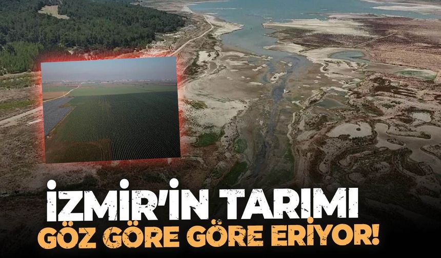 İzmir’in tarımı göz göre göre eriyor!