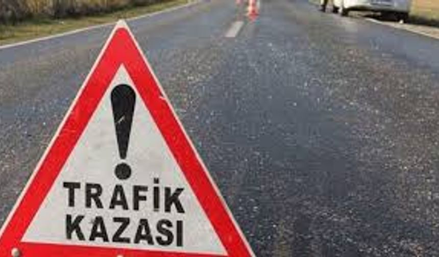 Uşak’ta direksiyon hakimiyetini kaybedince uçtu!