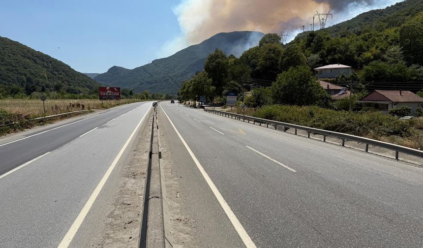 Sakarya'da bir yeni yangın! Yollar boşaltıldı, evler tahliye edildi!