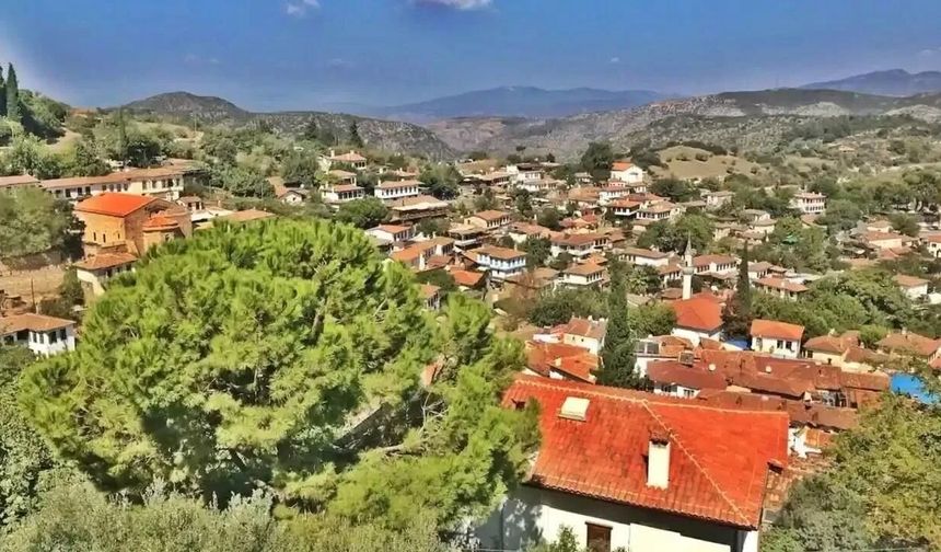 İzmir'in en serin ilçeleri yazın bunaltıcı sıcaktan kaçanlara nefes oluyor