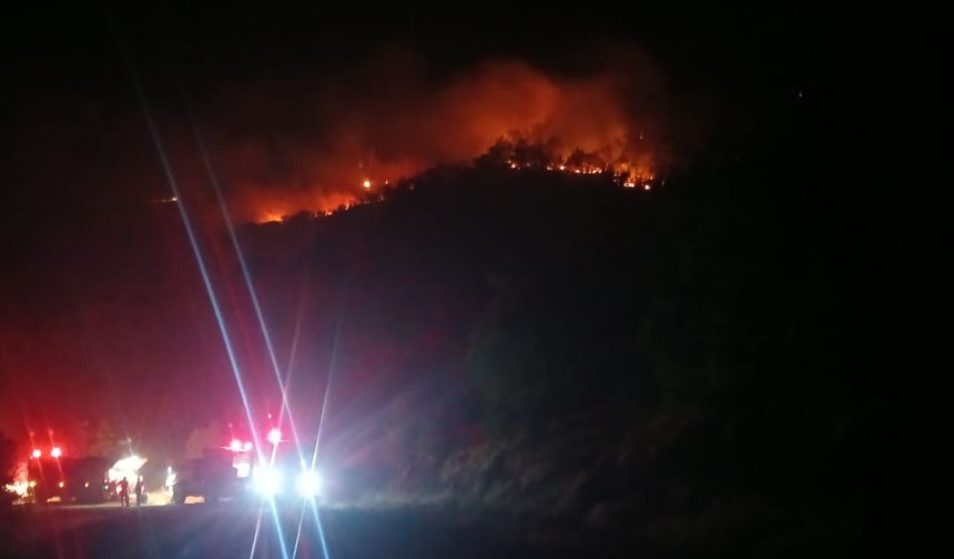 Malatya’daki 9 saatlik orman yangınına havadan ve karadan müdahale