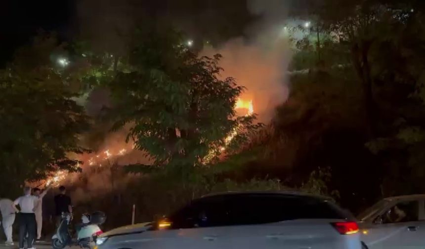 Meşale faciası kıl payı atlatıldı: Ağaçlık alanda yangın çıktı