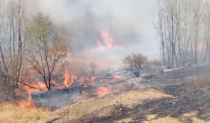 Yozgat’ta çıkan yangınlarda 550 dönüm alan kül oldu