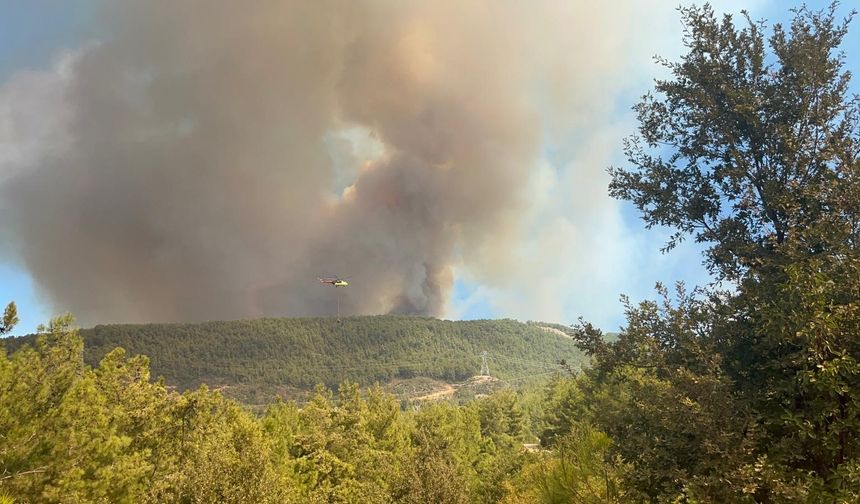 Alanya Demirtaş’ta orman yangını çıktı