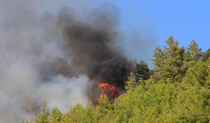 Antalya Serik’te orman yangını: Müdahale sürüyor