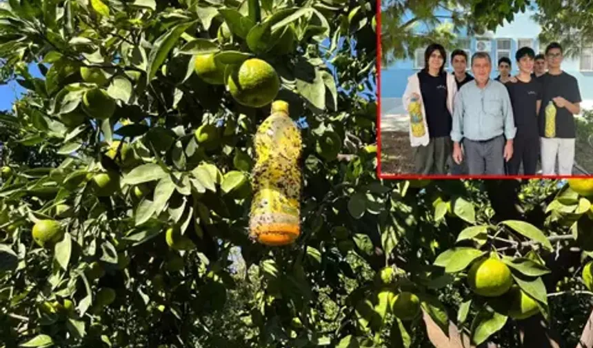 Lise öğrencilerinden şaşırtan proje! Meyve sineğini pet şişeyle yok ettiler