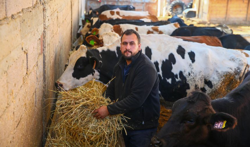 Dört inekle başladı, çiftlik kurdu!