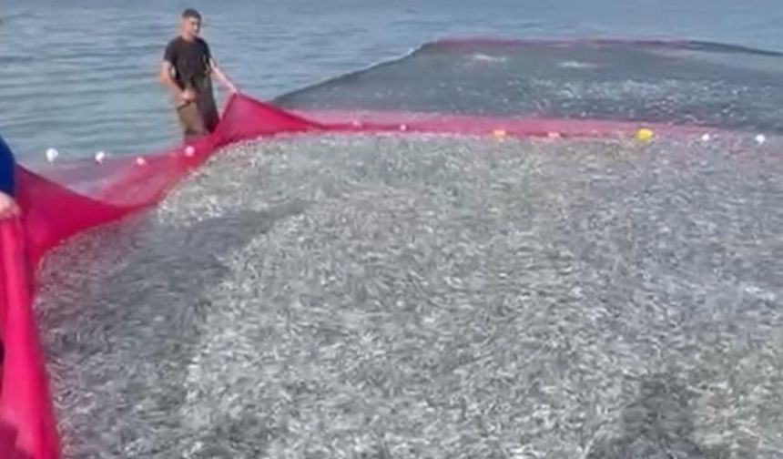 Doğanın bereketi: 5 balıkçı tek seferde tarih yazdı!