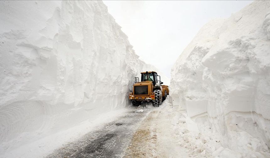 Muş’ta yoğun kar yağışı 200 koyun ve 5 araç yolda mahsur kaldı