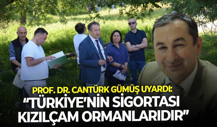 Prof. Dr. Cantürk Gümüş uyardı “Türkiye’nin sigortası kızılçam ormanlarıdır”