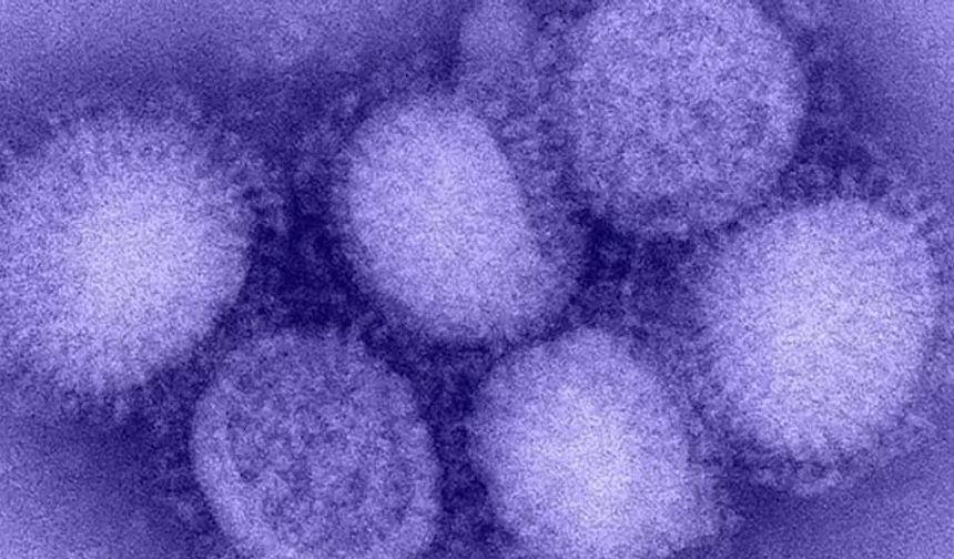 7 kez mutasyon geçiren H3N2 virüsü Türkiye kapısında!